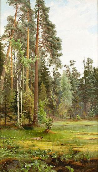 Mauritz Lindstrom Forest Clearing